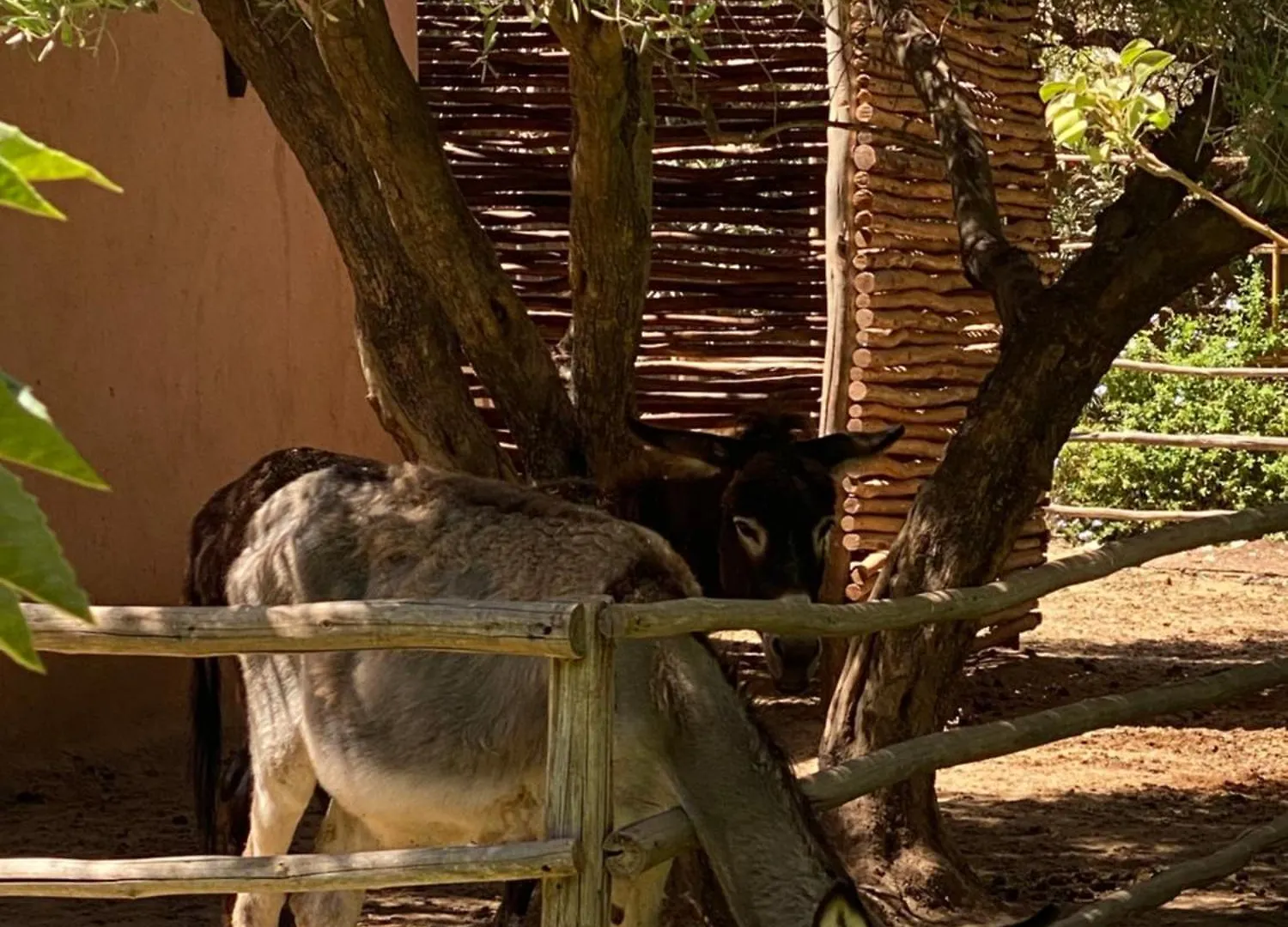 Jardin Sakina - Chambre D'Hotes Oulad Moumene Bed & Breakfast