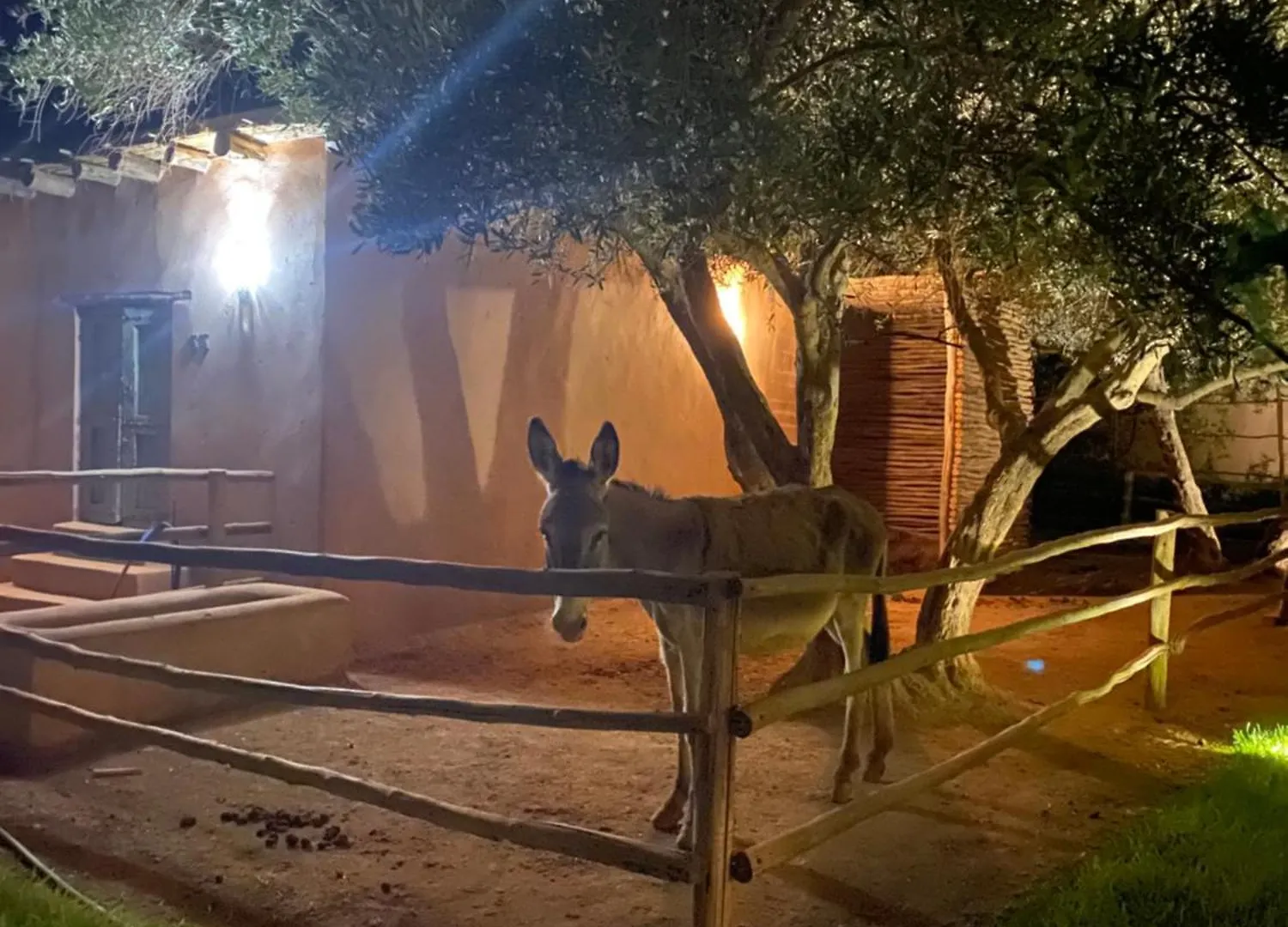 Jardin Sakina - Chambre D'Hotes Oulad Moumene
