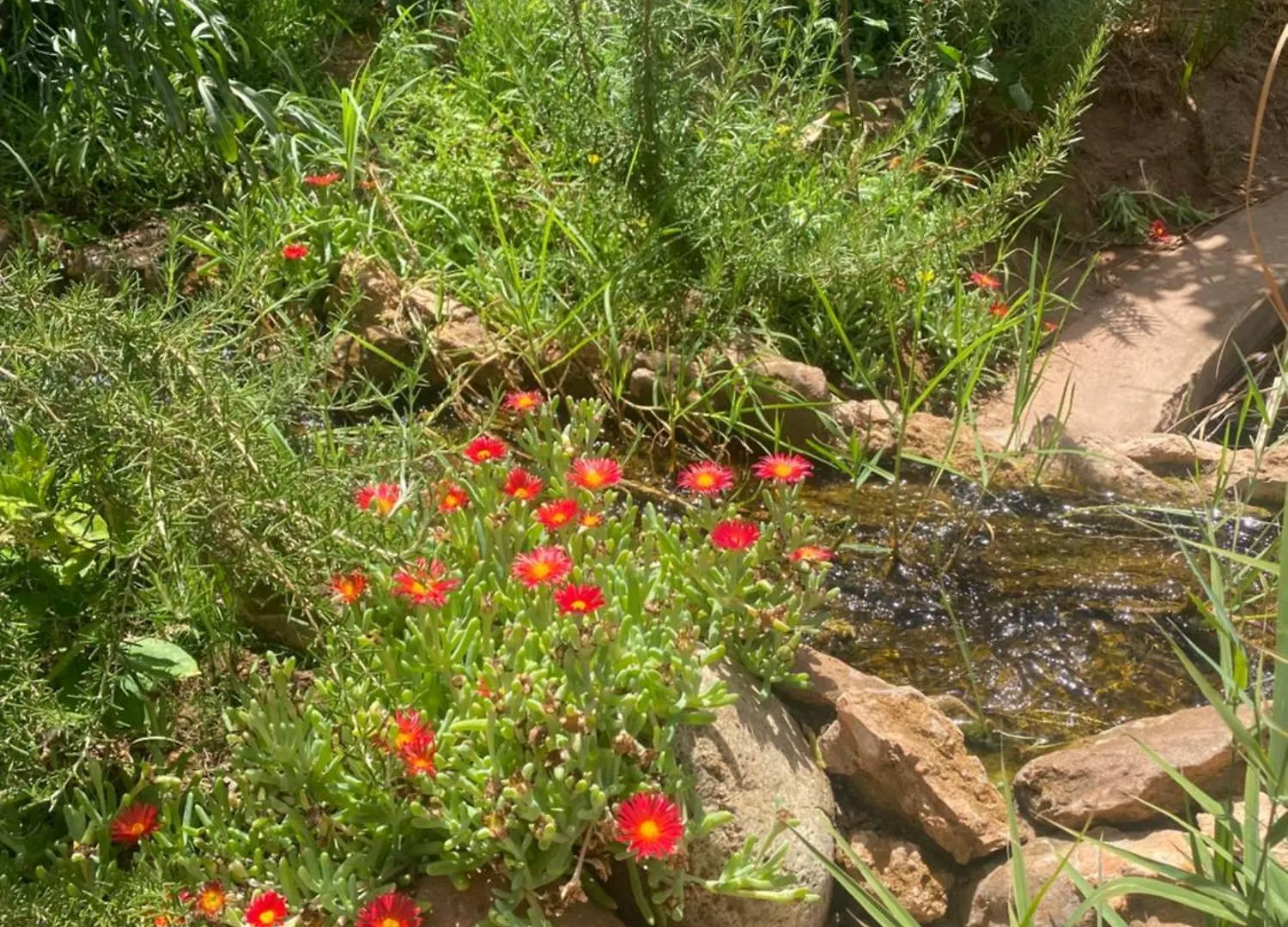 Jardin Sakina - Chambre D'Hotes Oulad Moumene Morocco